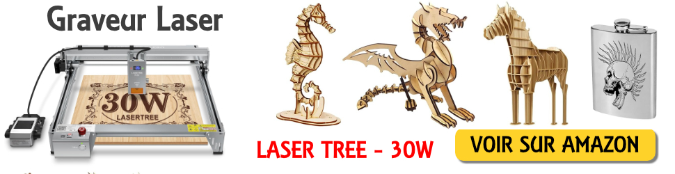 graveur laser
